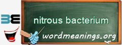 WordMeaning blackboard for nitrous bacterium